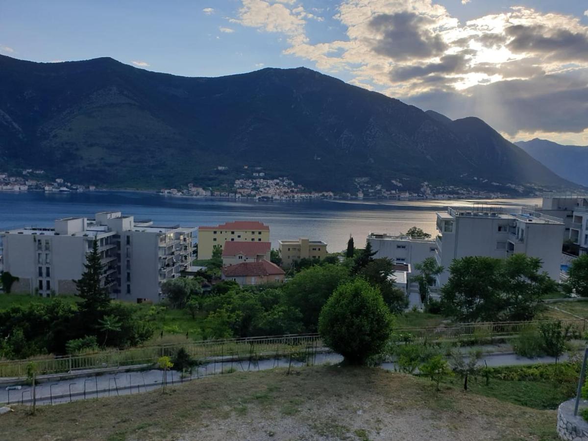 Apartment Jelena Kotor Ngoại thất bức ảnh