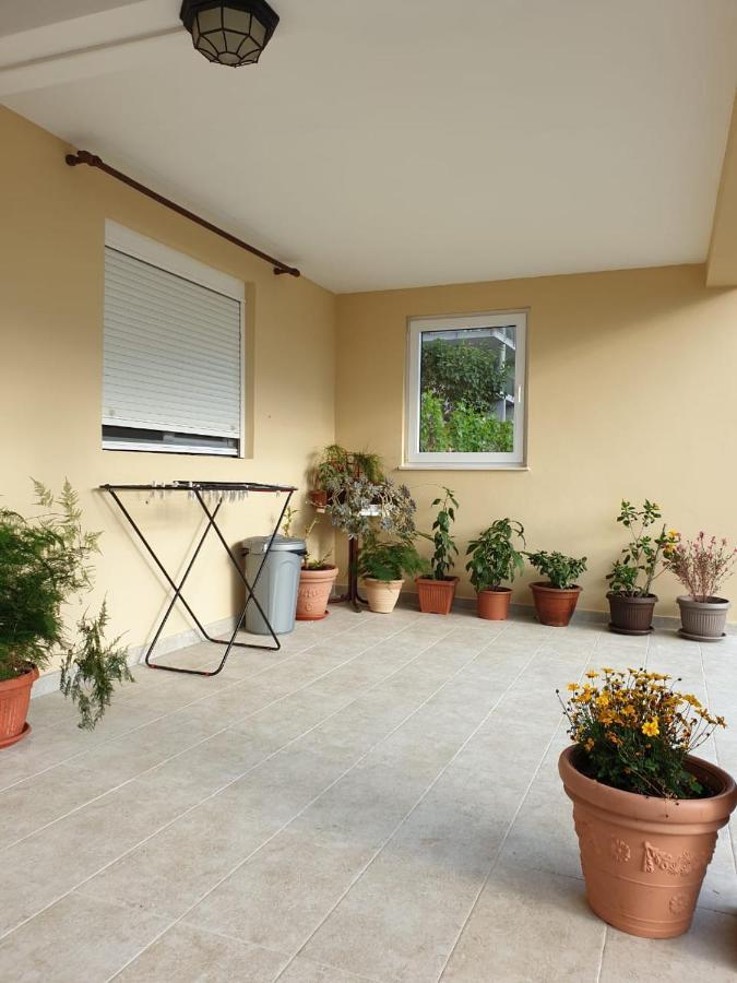 Apartment Jelena Kotor Ngoại thất bức ảnh