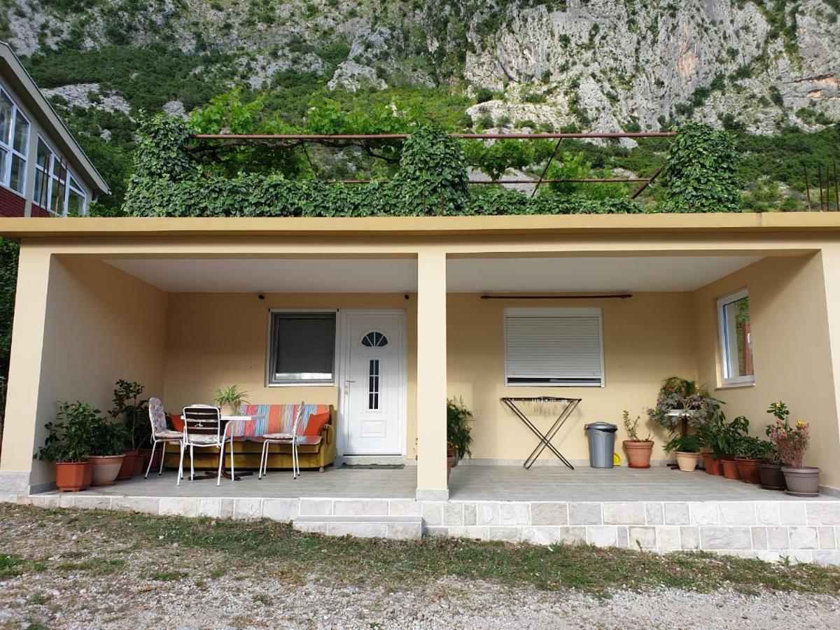 Apartment Jelena Kotor Ngoại thất bức ảnh