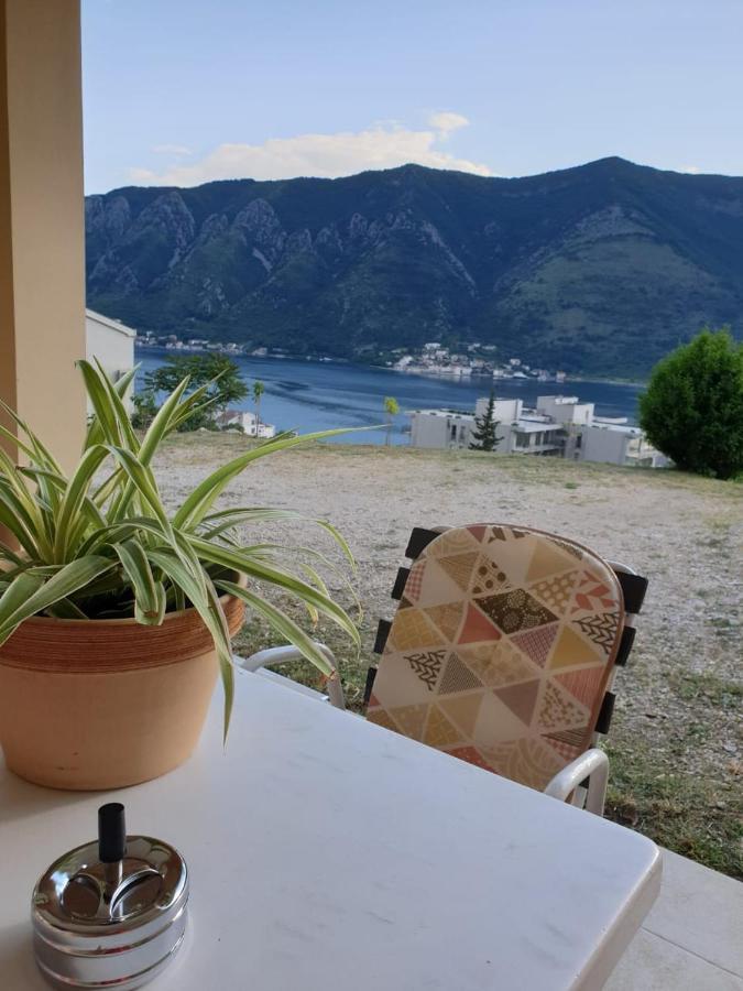 Apartment Jelena Kotor Ngoại thất bức ảnh
