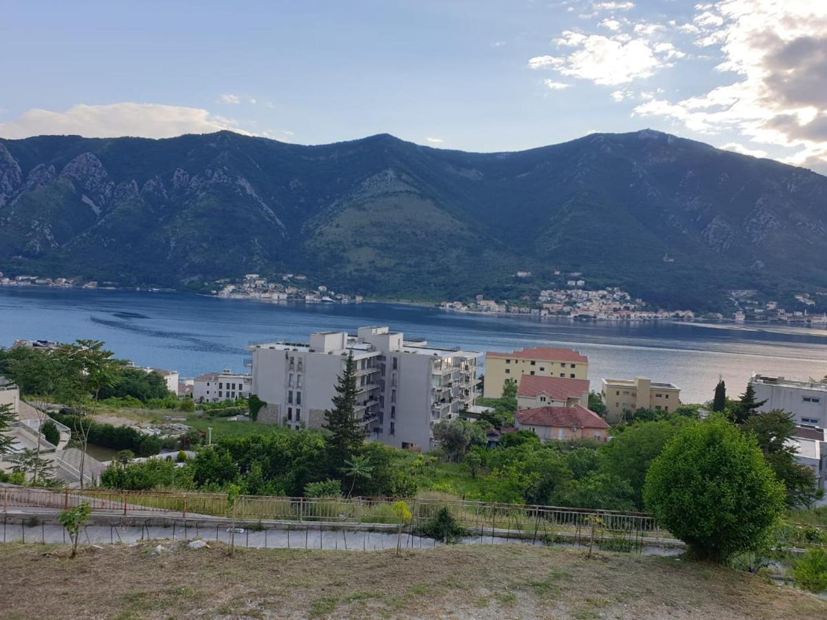 Apartment Jelena Kotor Ngoại thất bức ảnh