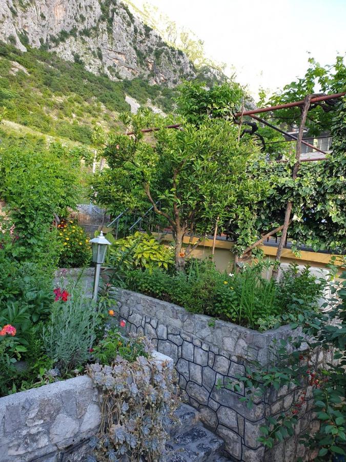 Apartment Jelena Kotor Ngoại thất bức ảnh